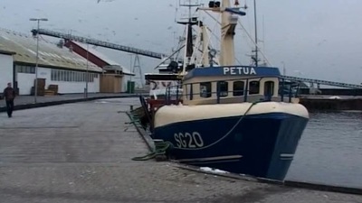 Precious-looking perfection gets fucked nicely