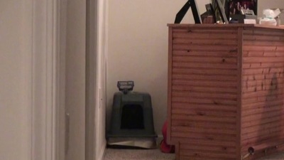 Entertaining minx Alli May at hand erotic instalment